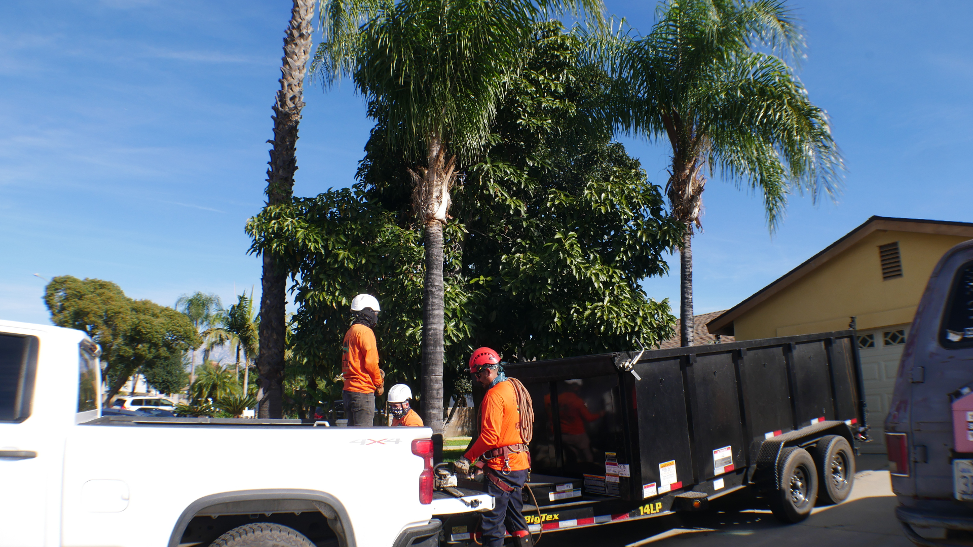 Design team on site